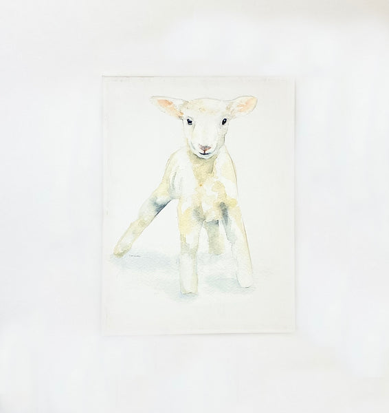 Susan Windsor White Lamb Watercolour Canvas