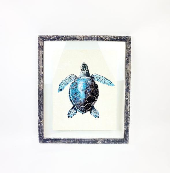 Blue Sea Turtle Illustration
