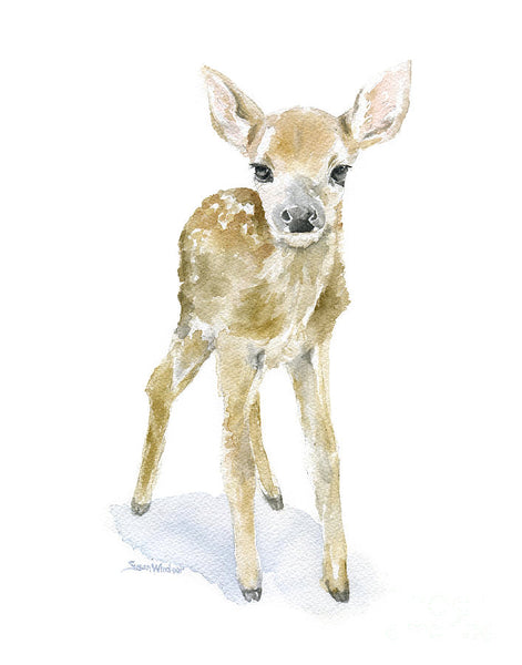 Susan Windsor Deer Fawn Watercolour Canvas